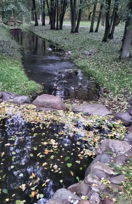 20231023_105821.jpg