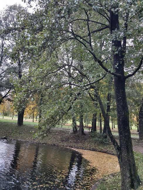 20231021_173633.jpg