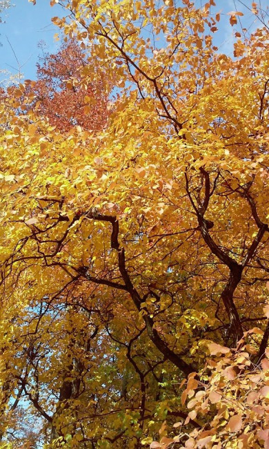 20141013_135004.jpg