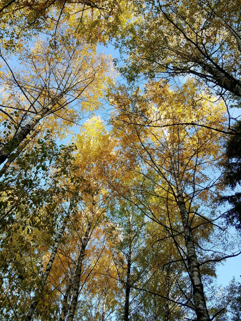 20231024_155611.jpg