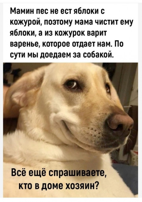 Screenshot_20231029-192119_Yandex Start.jpg