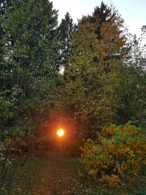 20231030_171331.jpg