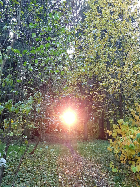 20231030_171358.jpg