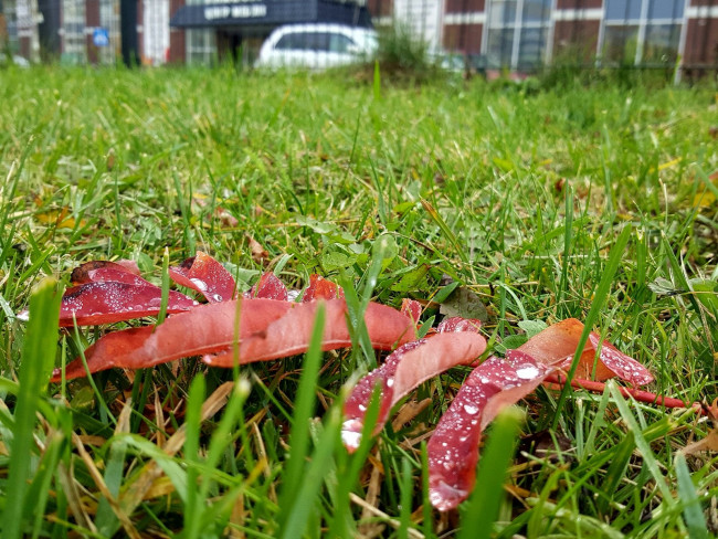 20231031_130547.jpg