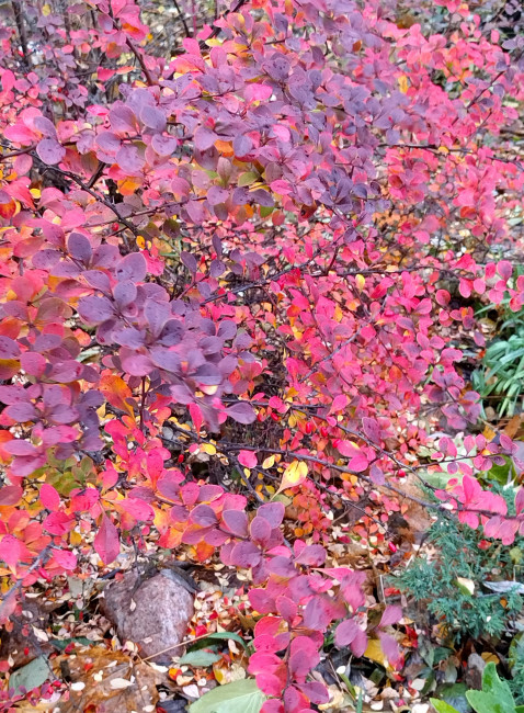 IMG_20231113_154344.jpg