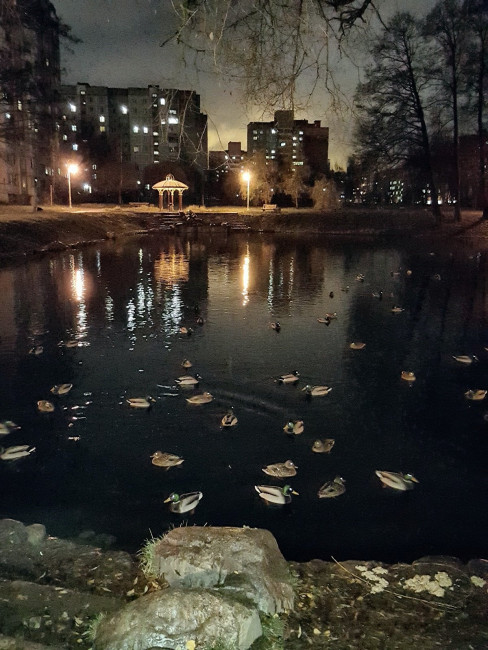 20231116_180205.jpg