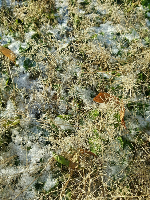 20231120_132448.jpg