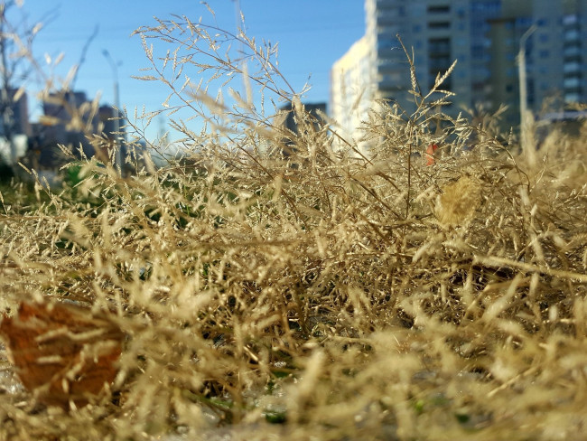20231120_132503.jpg