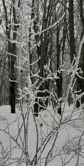 20230125_105253.jpg