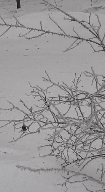 20230125_105304.jpg