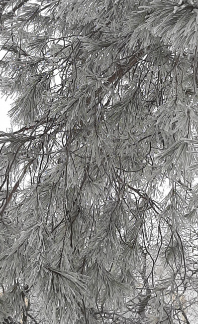 20230125_105410.jpg