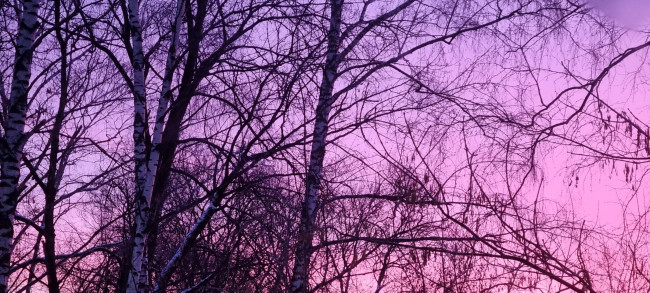 20240118_082733.jpg