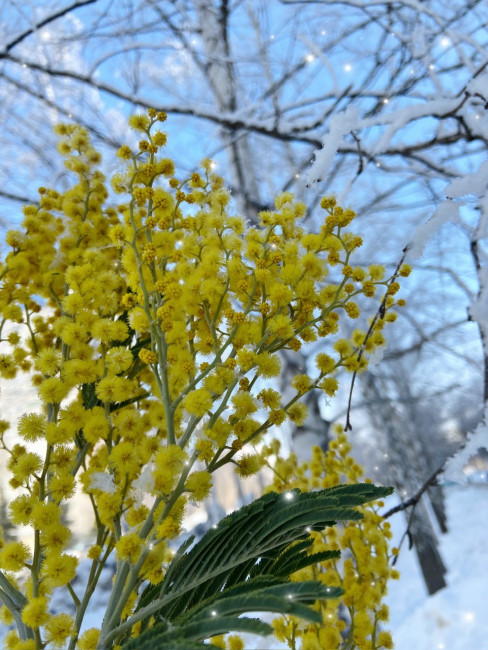 25E8508B-F6D6-486C-A29A-007C745C05FE.jpeg