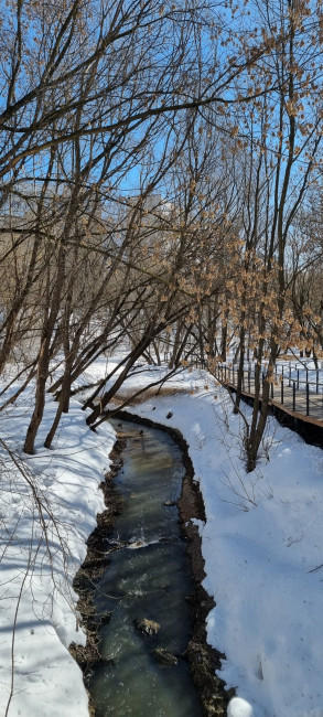 20240310_112959.jpg