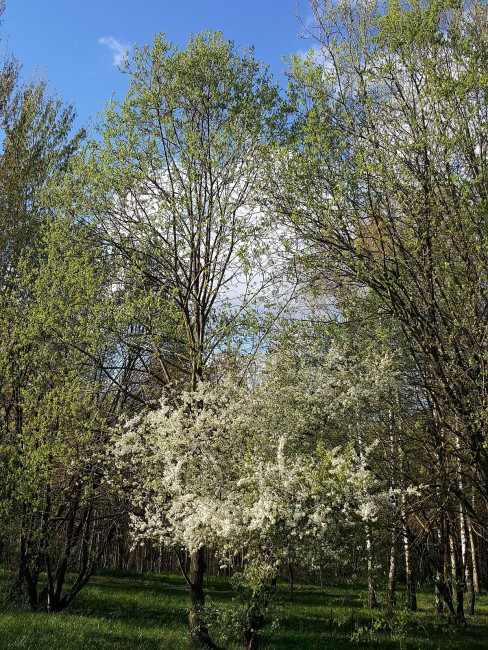 20240415_180042.jpg