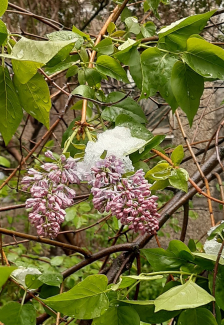 20240508_111712.jpg