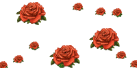 Браво!.gif