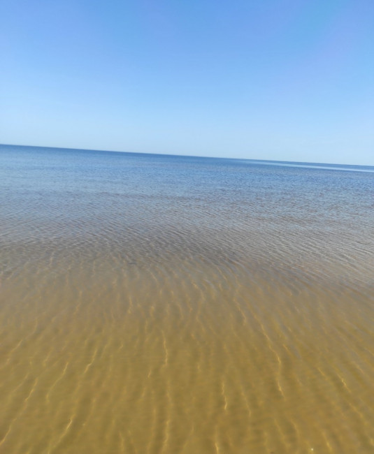 IMG_20240528_095330.jpg