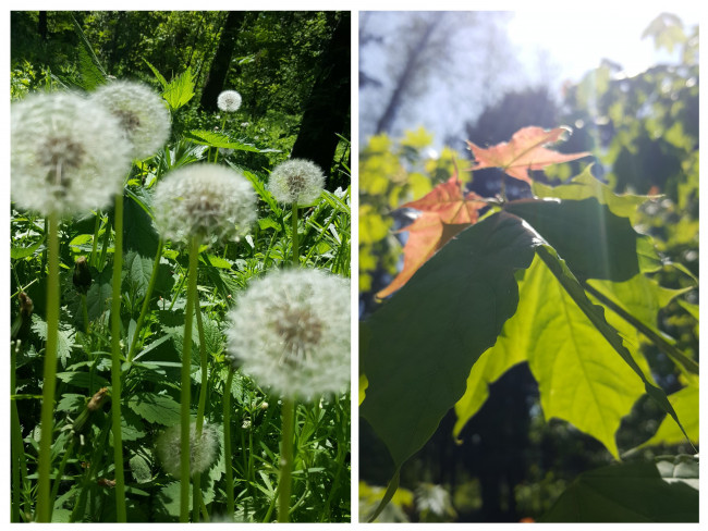 20240521_130114-COLLAGE.jpg