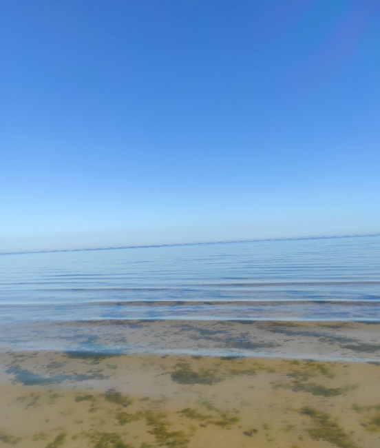 IMG_20240627_094708.jpg