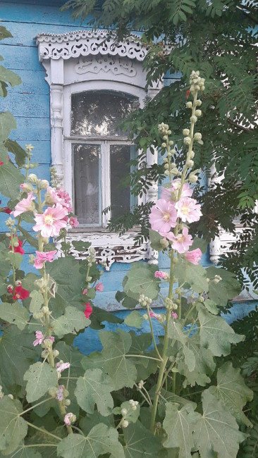 20240710_100317.jpg
