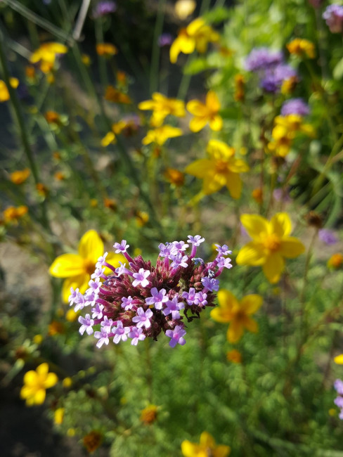 20240908_160909.jpg