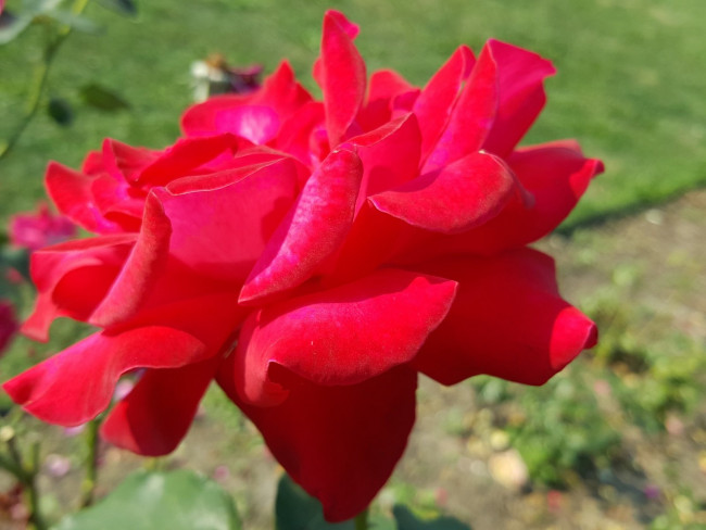 20240908_144101.jpg