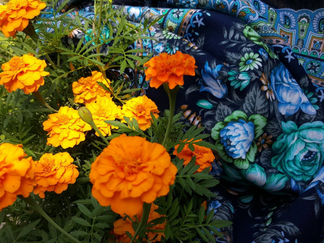 20240830_150310.jpg