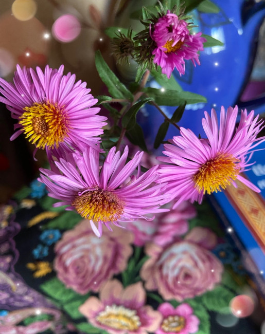 E3950197-C194-46C5-9E51-78760EA9ED4D.jpeg