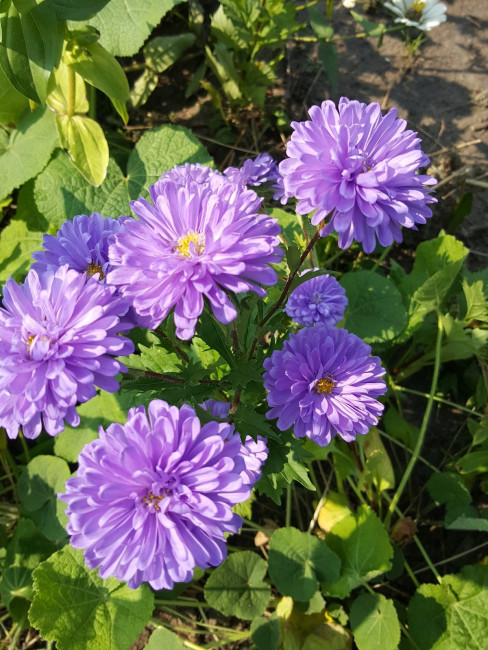 20240908_143909.jpg