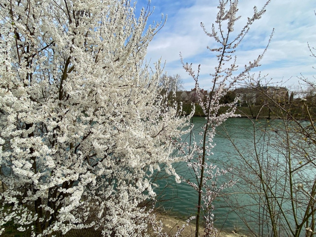 IMG_0358.JPG