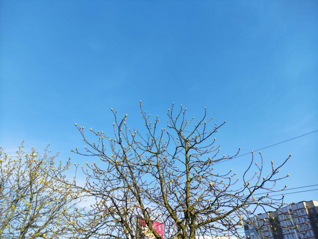 11d54370-c708-4c45-833d-d43189004e9e.JPEG