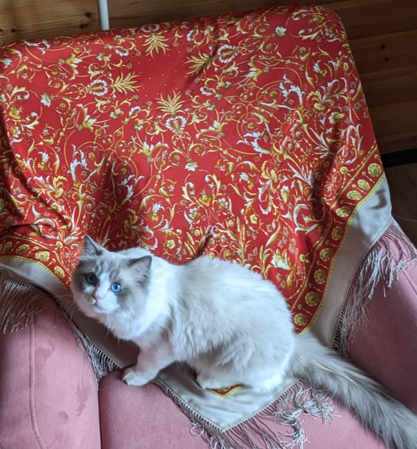 Милый помощник Плюсик