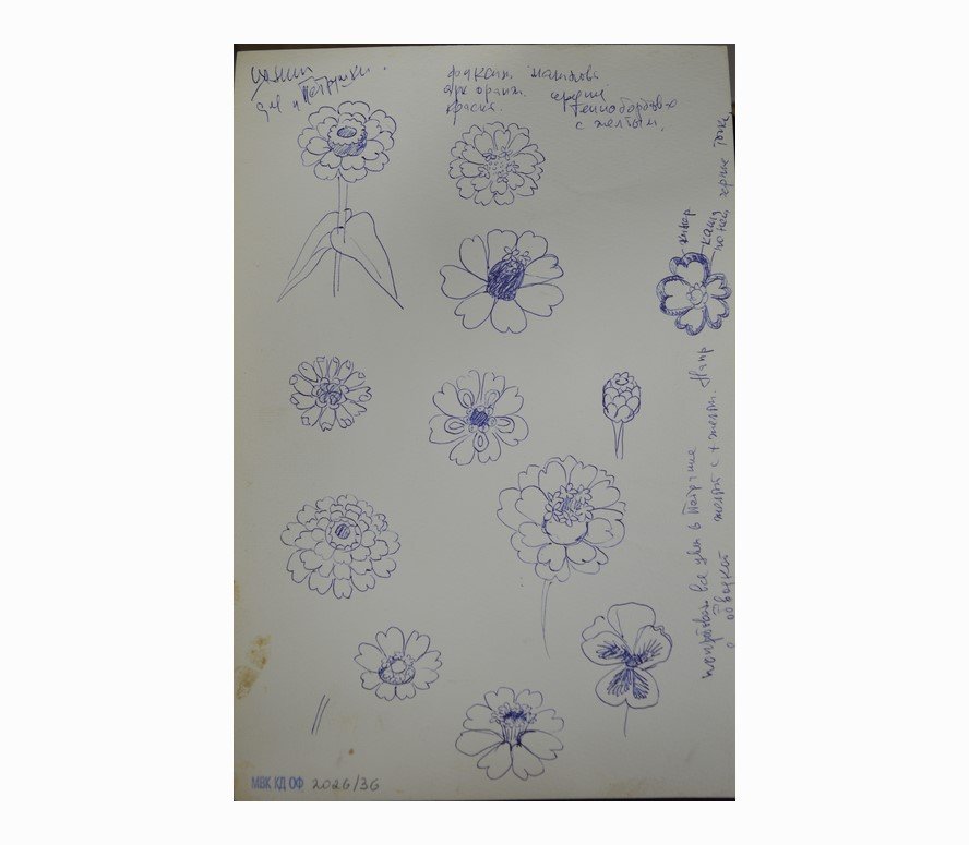 Эскиз для Петрушки.jpg