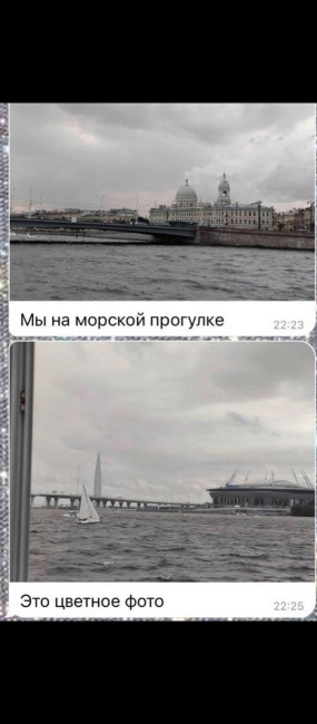 AxWfYJYzL7M.jpg
