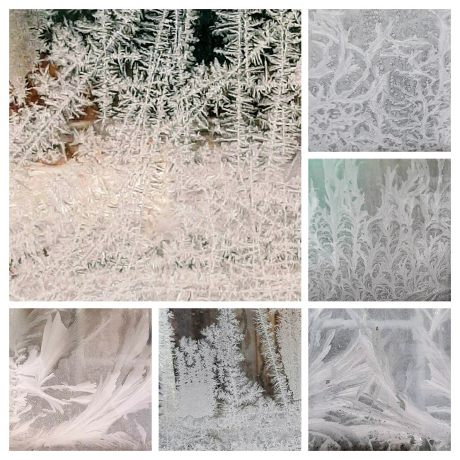 20251217_232418-COLLAGE.jpg