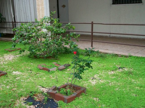 100_1639.JPG