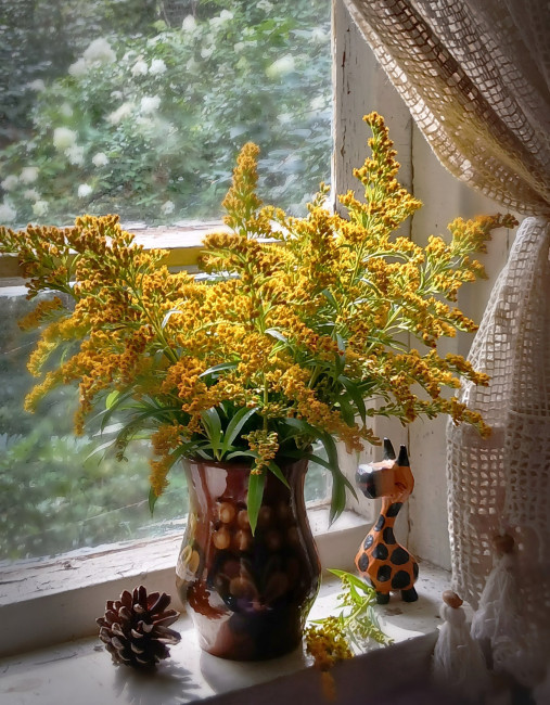 IMG_20260812_213138~2.jpg
