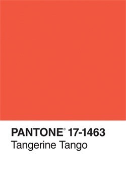 4011087137764514_w2JSaYQA_c.jpg