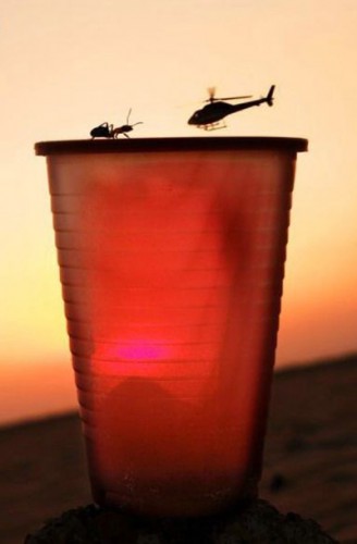Creative-Photography-Funny-Humor-Pics-37.jpg