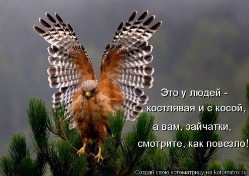 смерть.jpg