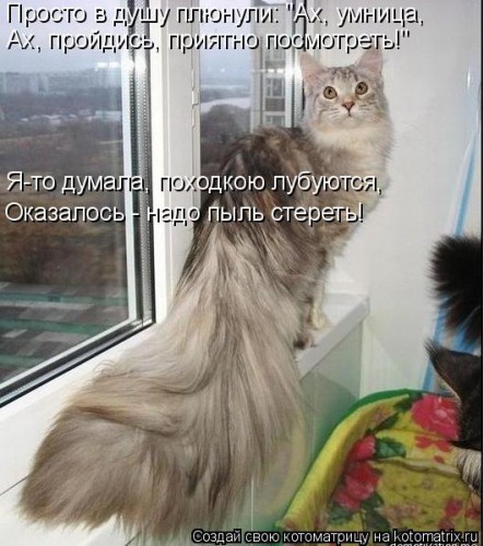 1092209.jpg