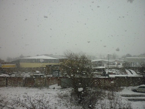 P1070890.JPG