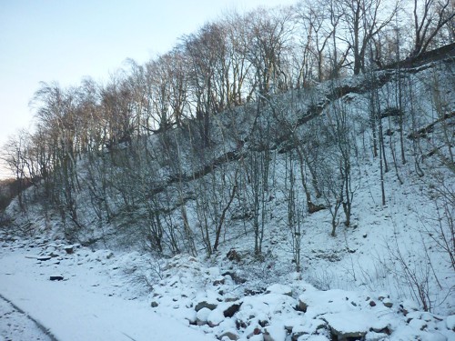 P1080008.JPG