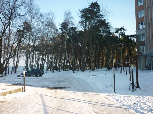 P1080025.JPG