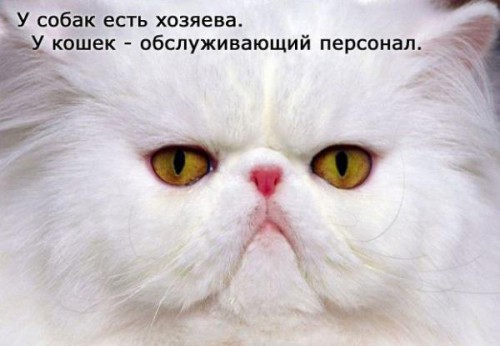 1251274692_015.jpg