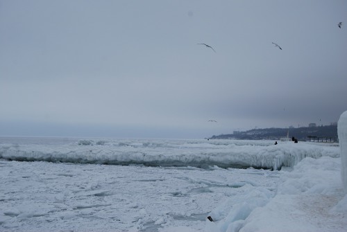 DSC_0015.JPG