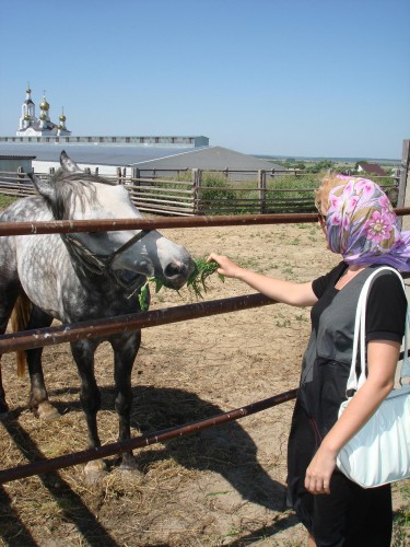 Чистые росы 661-4 (В.Фадеева). Мордовия, июль 2011г.