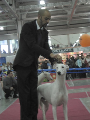 линнер.jpg