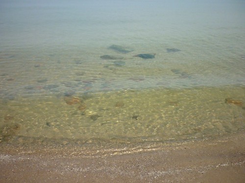 P1090671.JPG